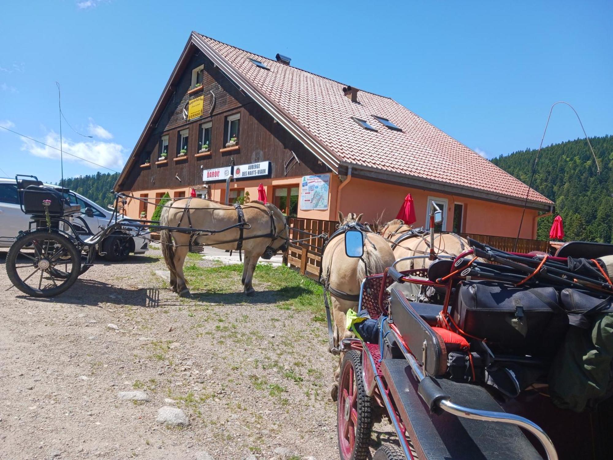 Auberge Des Hauts Viaux La Bresse Exterior foto