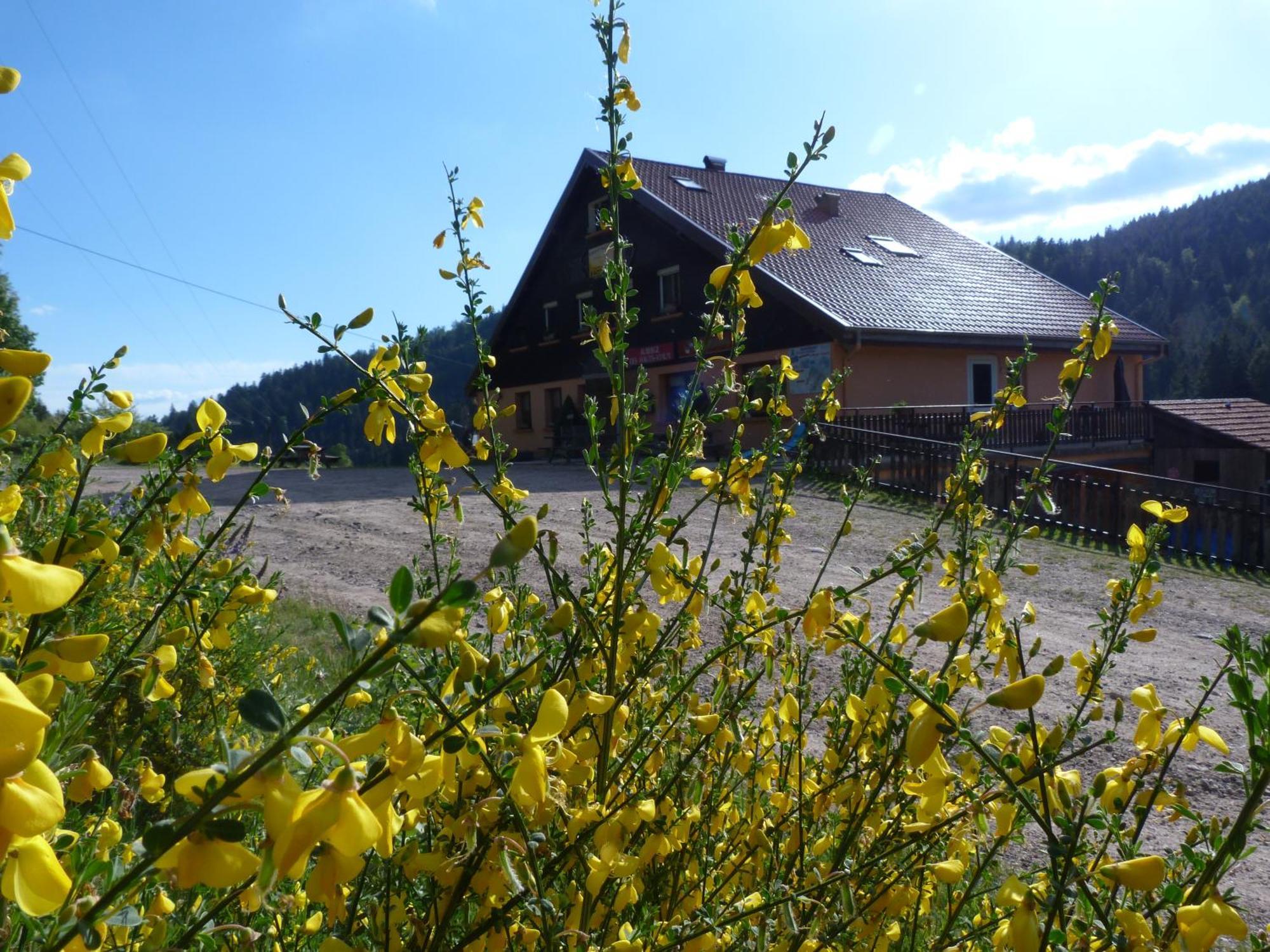 Auberge Des Hauts Viaux La Bresse Exterior foto