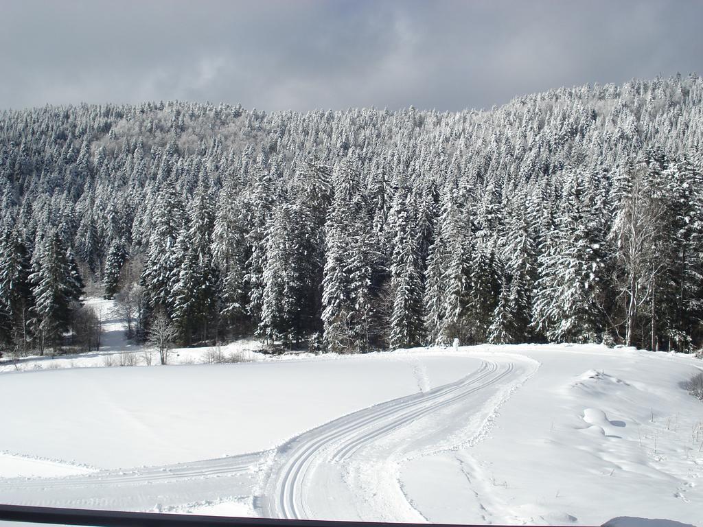 Auberge Des Hauts Viaux La Bresse Exterior foto